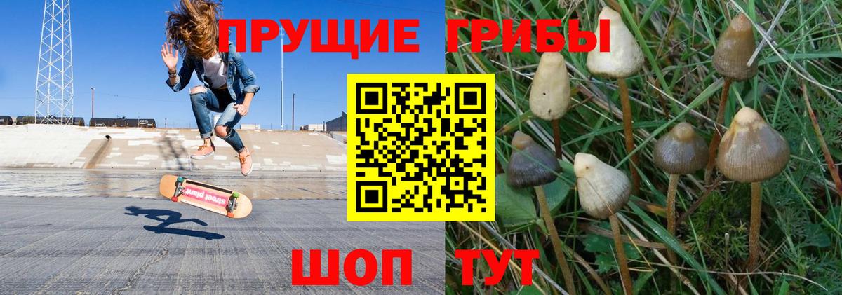 Чебоксары  Галлюциногенные грибы Magic Shrooms  Вход с VPN  Псилоцибиновые грибы GOLDEN TEACHER 