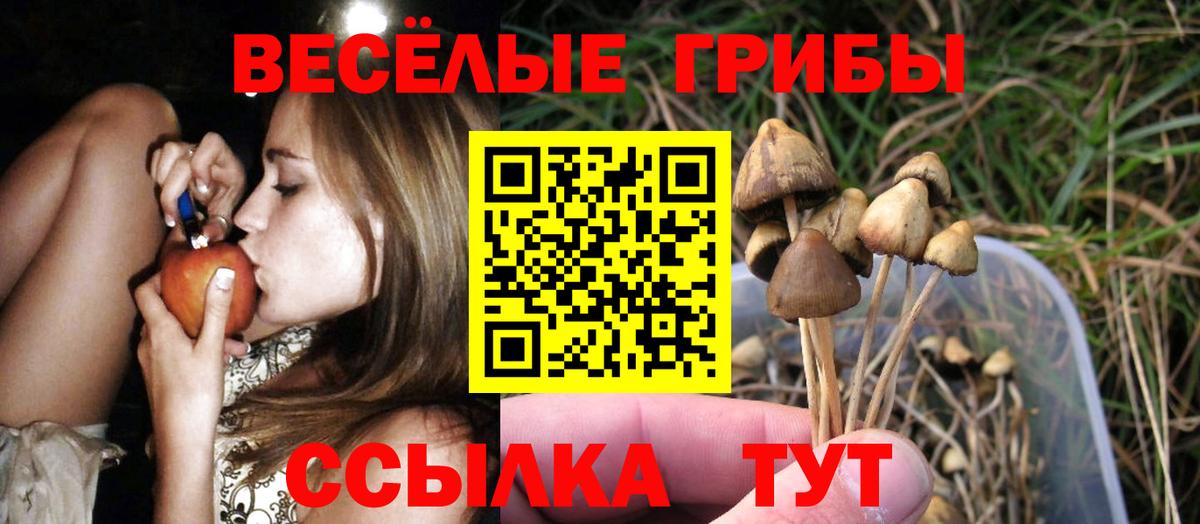Галлюциногенные грибы мицелий Чебоксары